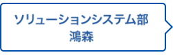 ソリューションシステム部 鴻森